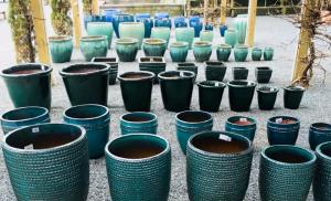Wharton’s Garden Center Pottery Gardening Spring