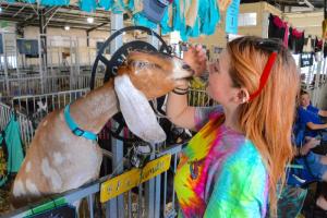 Delaney Tome of Hartly gets up close and personal with her goat, Juniper, as she offers her a treat.
