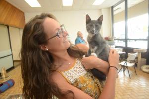DHA Clear the Shelter