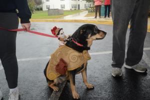 Paws Prints costume contest