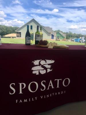 Vines of Sandhill, Sposato Family Vineyards