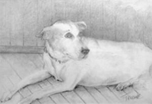 “Monty,” drawing by Joe Terrone.