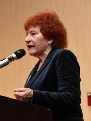 Kathy Hughes, president of Eastern Sussex Democrats, is working to organize a committee to address issues brought up during the panel discussion.