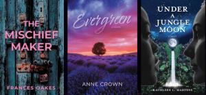 The Delaware Press Association Professional Communications Contest presented three book design awards to Byzantium Sky Press. SUBMITTED PHOTO