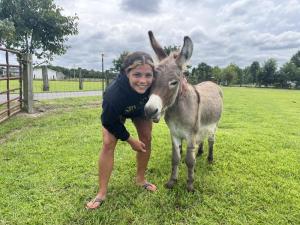 Petting zoo, Live Farm Animals 
