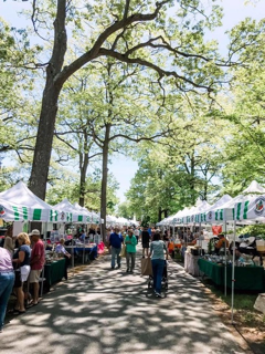 A canopy of trees in Grove Park shades patrons at the Rehoboth Beach Farmers Market. SUBMITTED PHOTO
