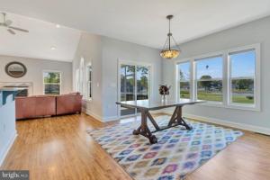 Bright sunny open living