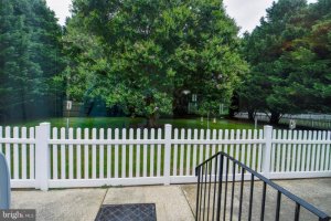 Backyard Partially Fenced