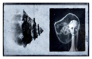 “Seaspray” by Suzanne Kricker.