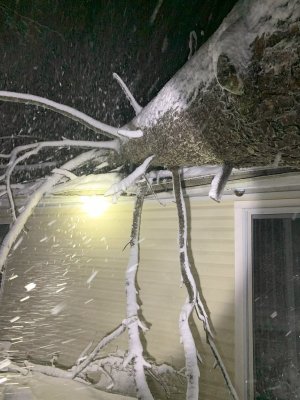 Damage included fallen branches onto homes.