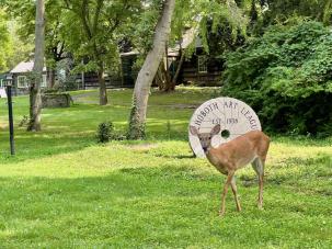 Wildlife and Gardens on campus at Rehoboth Art League