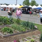 VegFest
