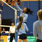 Mikayla Ennals knocks one over the net.