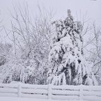 Judith M. DiFrancesco’s photo from Lewes looks pretty as a postcard.