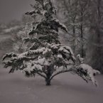 Midnight serenity is theme of Amie Kuhn’s photo.