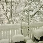 From Debra Regan’s back deck in Lewes, it’s easy to see how much snow has fallen.