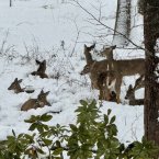 Maria Baer captured this photo at the Fourth Street Preserve in Lewes.