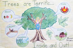 This winning poster by Rachel Winston from a prior contest illustrates the Delaware Forest Service's 2015 Arbor Day School Poster Contest theme: Trees are terrific… inside and out! Last year, more than 105 classes in 41 schools participated in the annual competition. SOURCE SUBMITTED