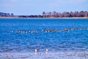 James Farm Ecological Preserve