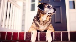 Ocean Atlantic Sotheby's International Realty