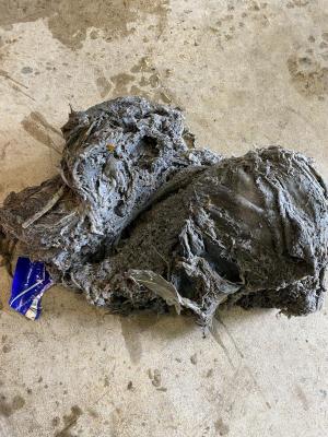 These were pulled out of the pipes after the clog at Lift Station 4. They were one piece prior to being unclogged. SOURCE: LEWES BPW