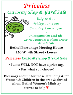 Curiosity Shop, yard sale, Lewes, 