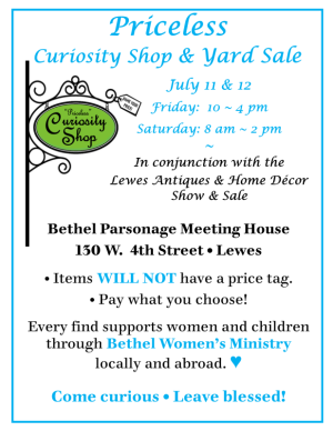 PRICELESS CURIOSITY SHOP YARD SALE JULY