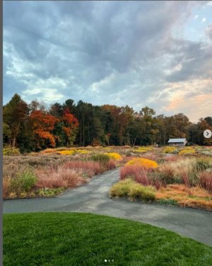 Autumn colors grace the meadow garden at Delaware Botanic Gardens. SUBMITTED PHOTO