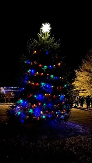 Colorful Christmas lights illuminate Milton Memorial Park in 2024. RYAN MAVITY PHOTO