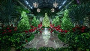 Towering trees in jewel tones adorn a holiday display at Longwood Gardens. SUBMITTED PHOTO
