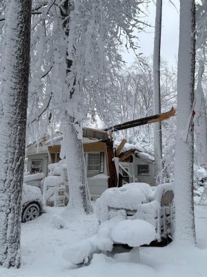 Indian River Volunter Fire Company firefighters responded to a home Feb. 23 near Angola for a report of a fallen tree. INDIAN RIVER VOLUNTEER FIRE CO. PHOTOS