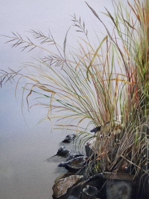 “Still Water” by Isabel Pizzolato.