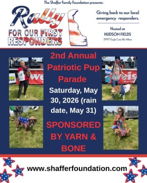 Dress up your Furry Babies in Red, White and Blue