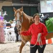 lady leading bhorse