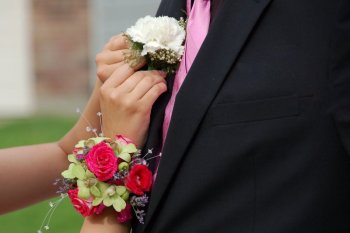 SOURCE: Adobe Stock/Bill Doss 